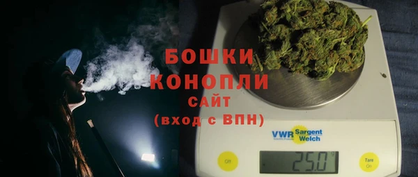 крисы Костерёво